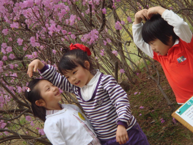 DSC02028.jpg