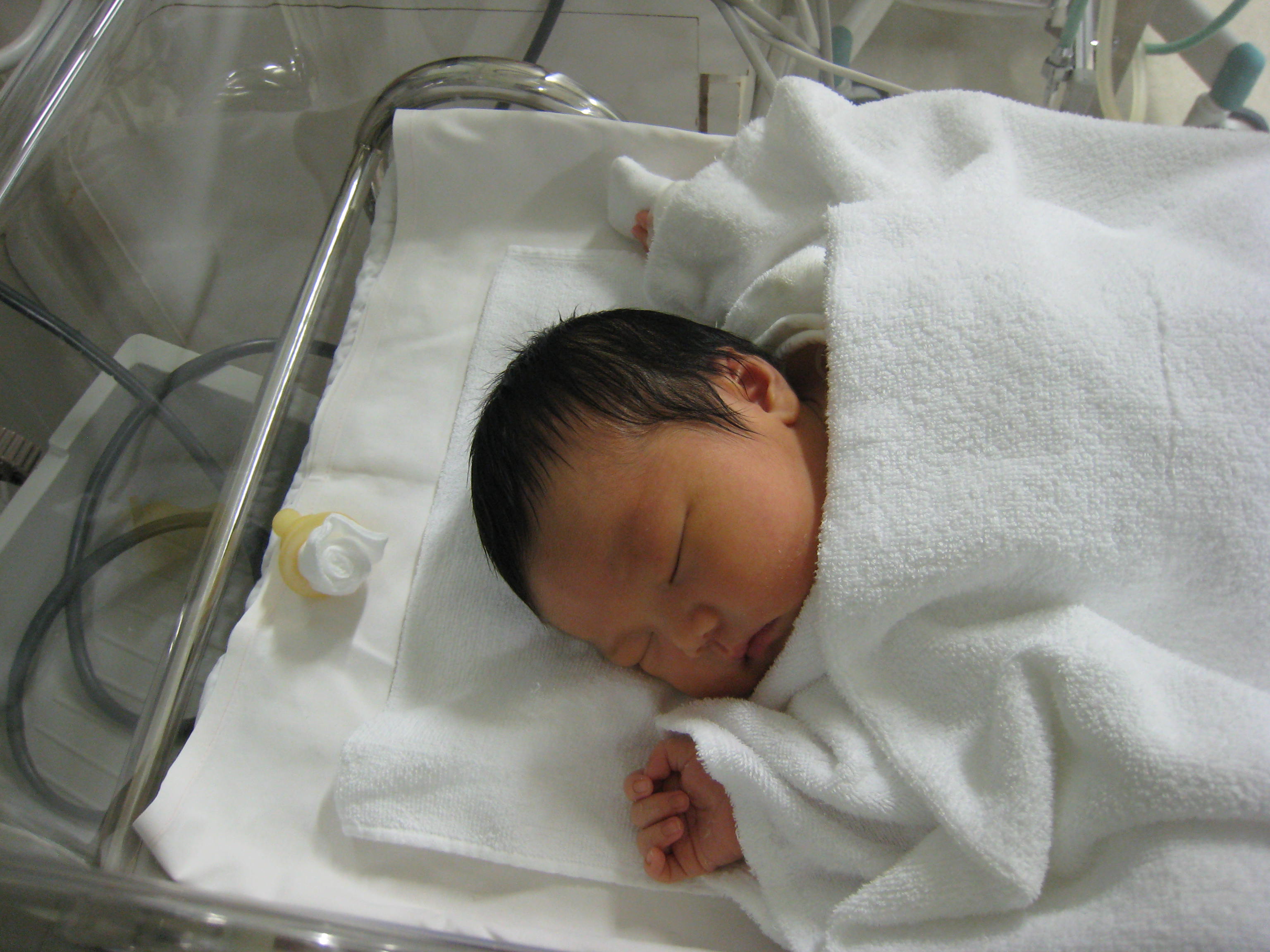 照片 1142.jpg