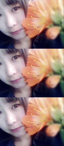1235528203571623_file-vert.jpg
