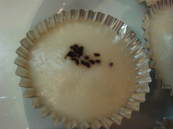 쉰떡 1.jpg