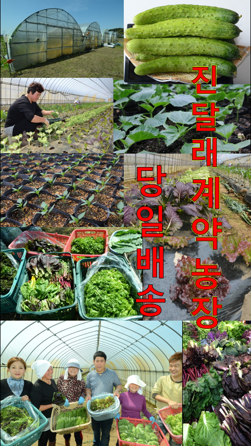 屏幕快照 2015-11-29 17.55.38.png